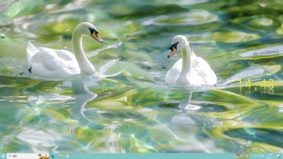 春江水暖鸭先知