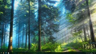 4k森林阳光蝴蝶主题