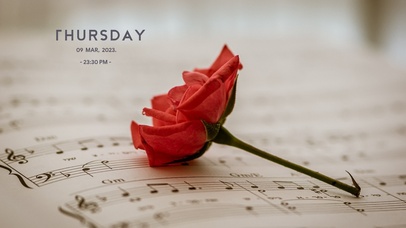 4k简约花桌面壁纸