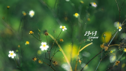 4K唯美小清新花朵