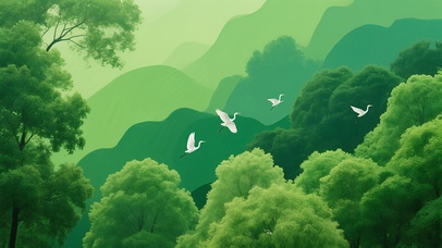 绿色护眼 很舒服