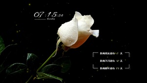 4k高清简约冷美系列