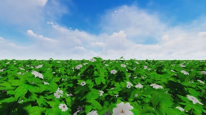 唯美清新自然风景