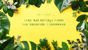 简约绿植ins风格桌面