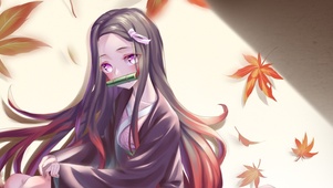 枫叶 祢豆子