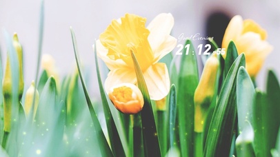 4k清新简约桌面