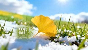 12月心中有暖手里有金