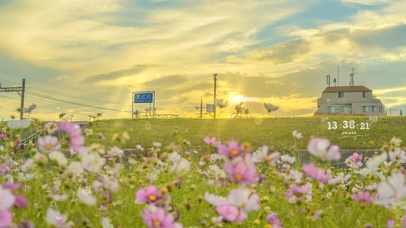 4k 唯美治愈夕阳黄昏
