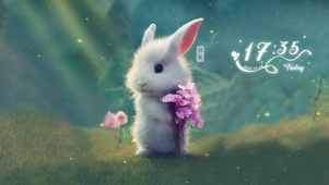 可爱的小兔