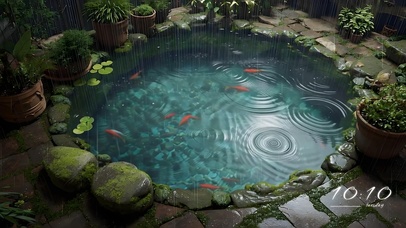 夏日雨天一寸池