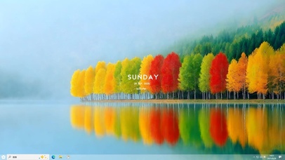 湖边的秋天水杉