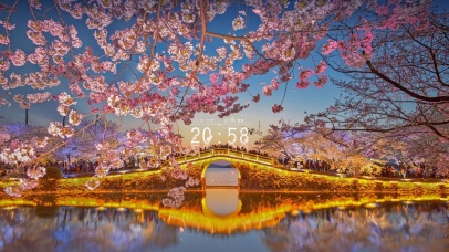 唯美治愈黄昏湖泊樱花