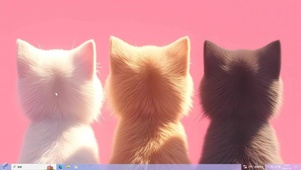 三只猫