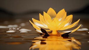 金色闪闪莲花
