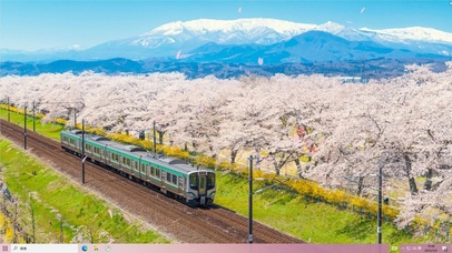 春日樱花列车  电脑版