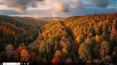 唯美森林公路主题