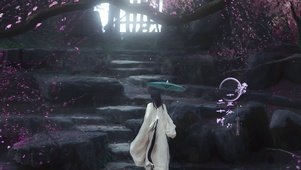 雨中花