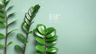 简约系绿植壁纸