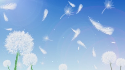 小清新蒲公英2