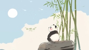 观星的小熊猫