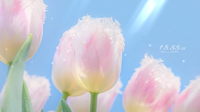 4K治愈唯美郁金香
