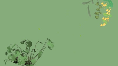 4k高清简约护眼系列