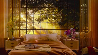 安静舒适清晨森林房间