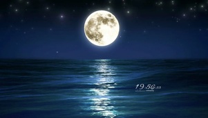 想你的夜