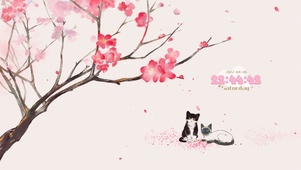 4k 樱花树下猫咪的爱情