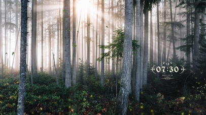 4k唯美森林风景