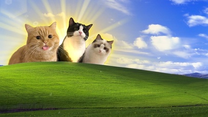 上班啦朋友们！