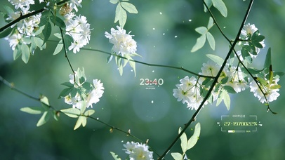 4K唯美治愈清新白木香