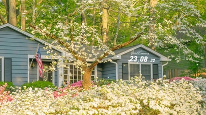 4k 唯美治愈夏日花房