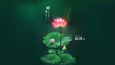 护眼青绿 治愈荷花