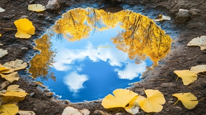 积水倒映的秋天