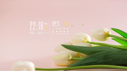 4k简约郁金香桌面