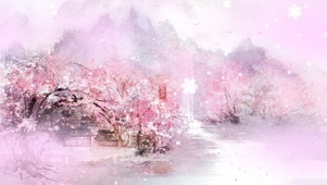 冬天的樱花