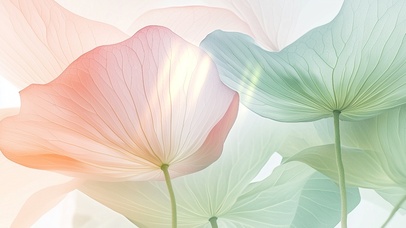 晶莹剔透的莲叶