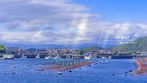 4k 治愈清新夏日阳光海港