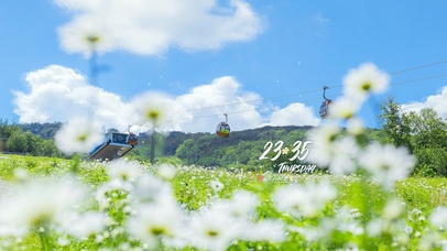 4K夏日山谷清新花海