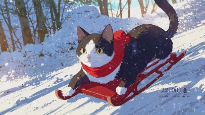 滑雪橇的猫