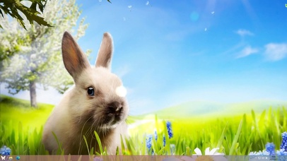 4k高清兔兔