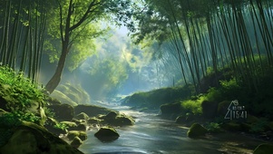 竹林