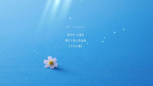 简约唯美小花壁纸