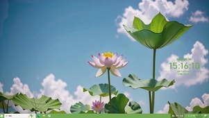 荷花（无卡顿循环）