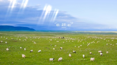 4K草原羊群护眼壁纸