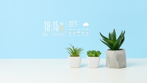 4k极简ins风格绿植桌面