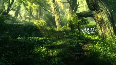 4k 治愈护眼阳光绿林