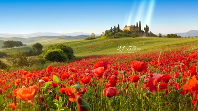 6K 春天的奥西亚山谷花海