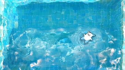 泳池小狗
